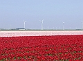 Powered bij Color